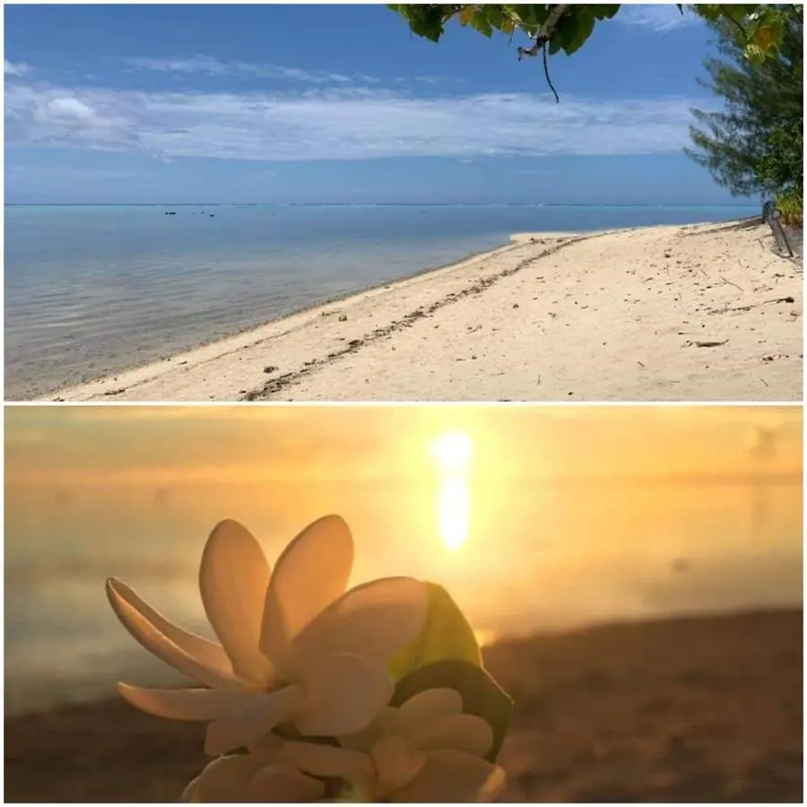 게스트하우스 Residence Vainau Moorea Haapiti